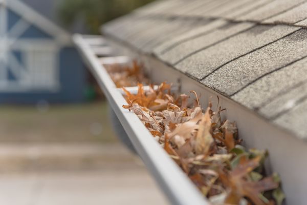 Leaf Barrier Installation in Snellville